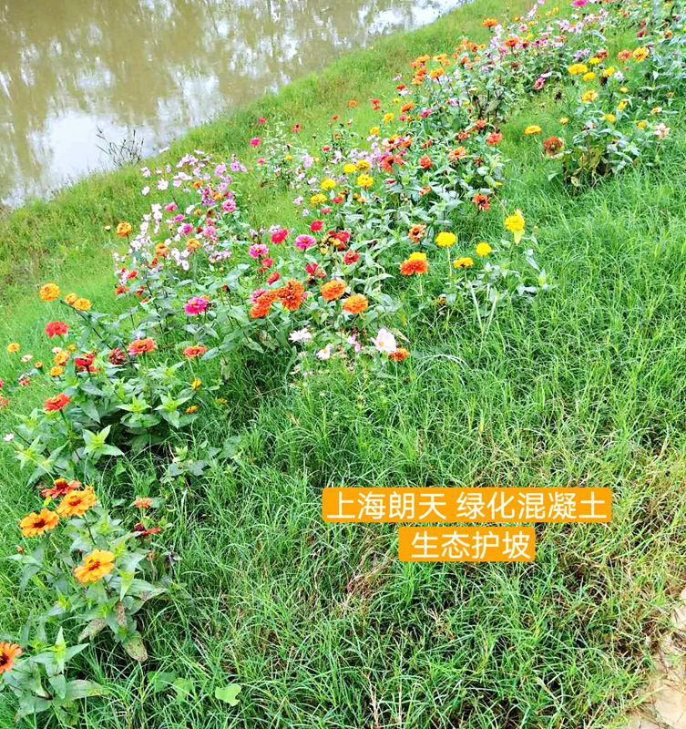 綠化混凝土,植被混凝土,植生混凝土,透水混凝土, 彩色混凝土,生態(tài)混凝土添加劑-景觀(guān)性好